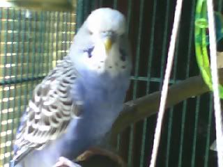07-24-06_1346merline3.jpg