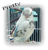10-26-05_1145pretty1.jpg