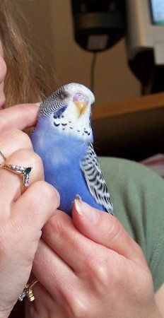 100_1337_232x450.jpg