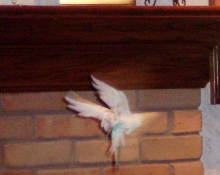 100_1463_450x359.jpg