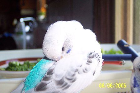 100_1798_450x300.jpg