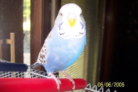 100_1800_450x300.jpg