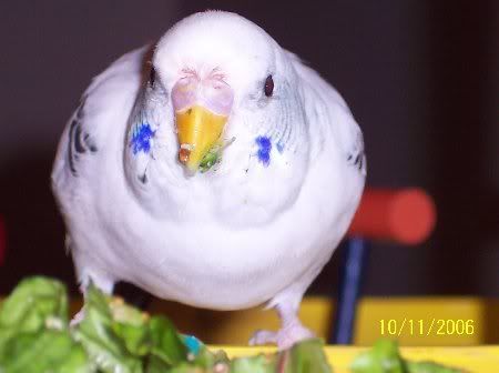 100_2429_450x336.jpg
