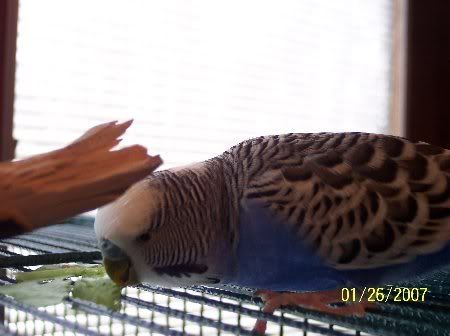 100_3066_450x336.jpg