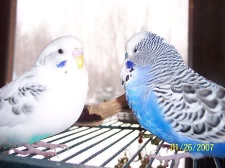 100_3074_450x336.jpg