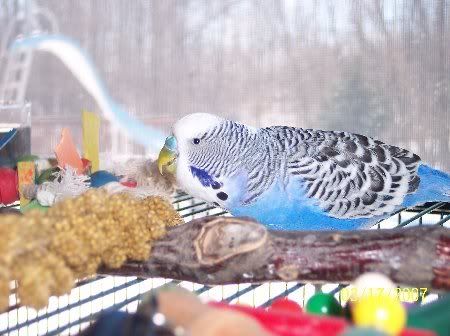 100_3401_450x336.jpg