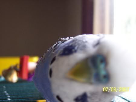 100_3969_450x336.jpg