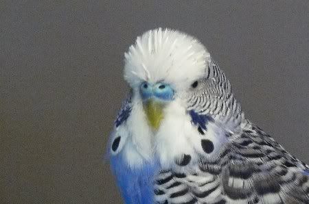 P1000654_450x298.jpg