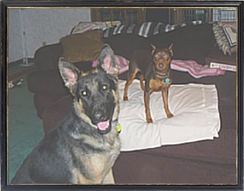 P1020733-1.jpg