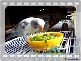 th_100_1374.jpg