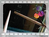 th_100_1423.jpg