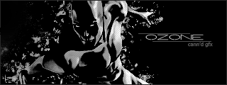 i33.photobucket.com/albums/d51/tacobueno/ozonesicknesscopy.gif