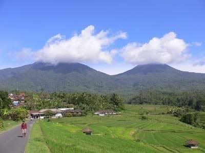 Jatiluwih #2 Jatiluwih #2