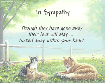 th_sympathy-47-1.gif