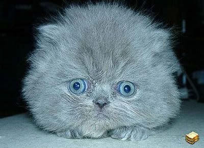 freaked out!!! Pictures, Images and Photos
