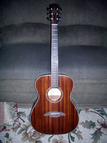 of my alvarez folk guitar