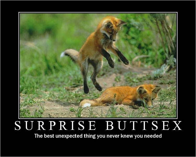 Forum Image: http://i33.photobucket.com/albums/d56/Malicust985/Motivational/Surprise_Buttsex_by_Lost_Shadowz.jpg