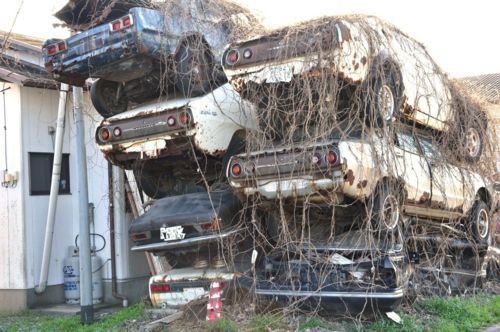 973918b84b79115be16c2a02e014983f_zpsdad2