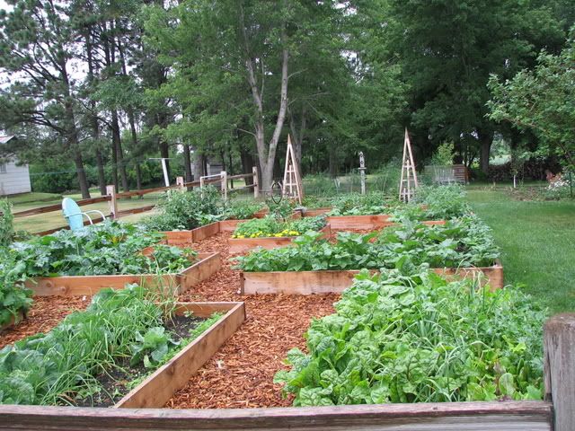 Landscape Jobs South Jersey Flower Beds Wood Chips Vs Rocks