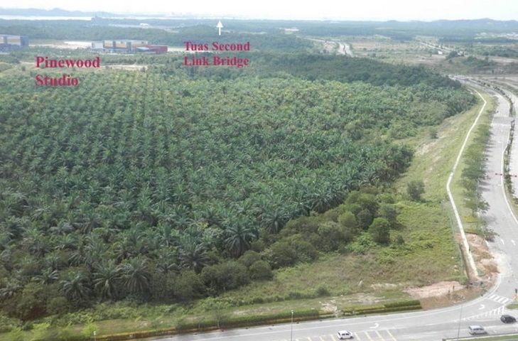 Forest%20in%20front%20of%201Medini%20cut_zpsni7exbk6.jpg