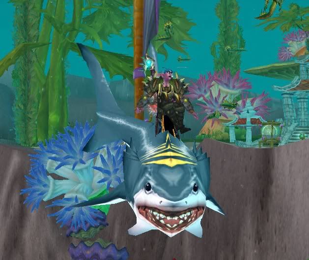 Imonashark.jpg
