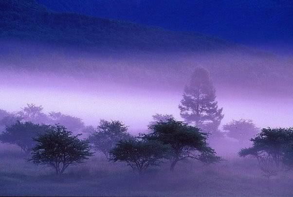 (A?nh hien gio ko hien thi duoc)