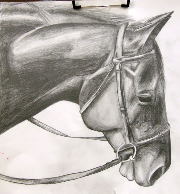 horse drawings in pencil. Lessons in Drawing: Pencil