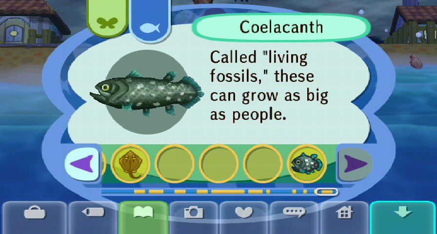 Acww Coelacanth