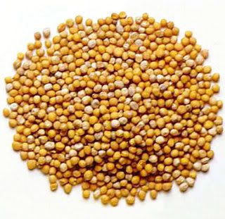 mustard seeds