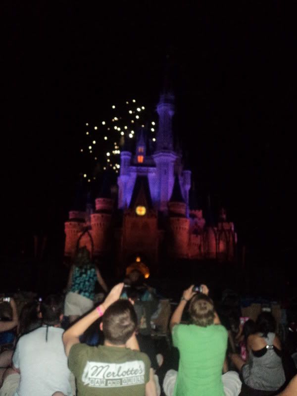 Cinderella Castle During Wishes