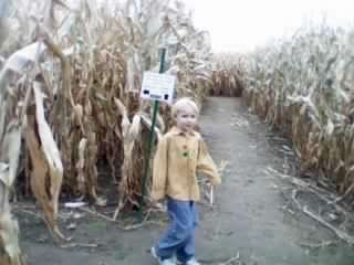 Corn Maze