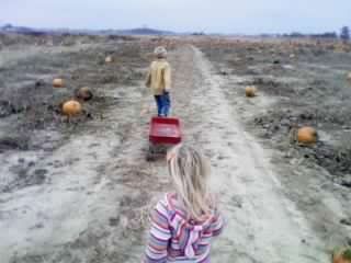 Pumpkin Hunting