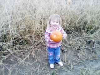 Pumpkin Hunting