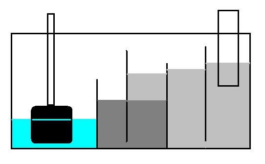 Coarse Sponge