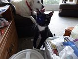 photo DSC00021_zpsb075bcaf.jpg