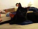 photo DSC00096_zps252bb224.jpg
