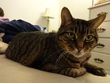 photo DSC00097_zps40cf2f94.jpg