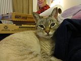 photo DSC00098_zps57f903a3.jpg