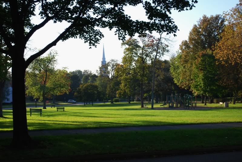 DSC_0105.jpg
