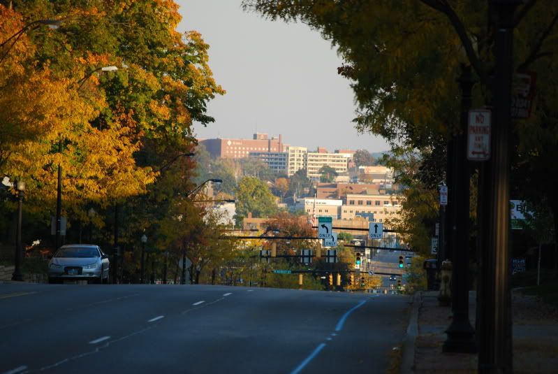 DSC_0206.jpg