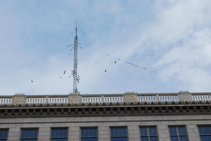 DSC_0103.jpg