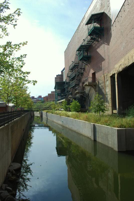 DSC_0240.jpg