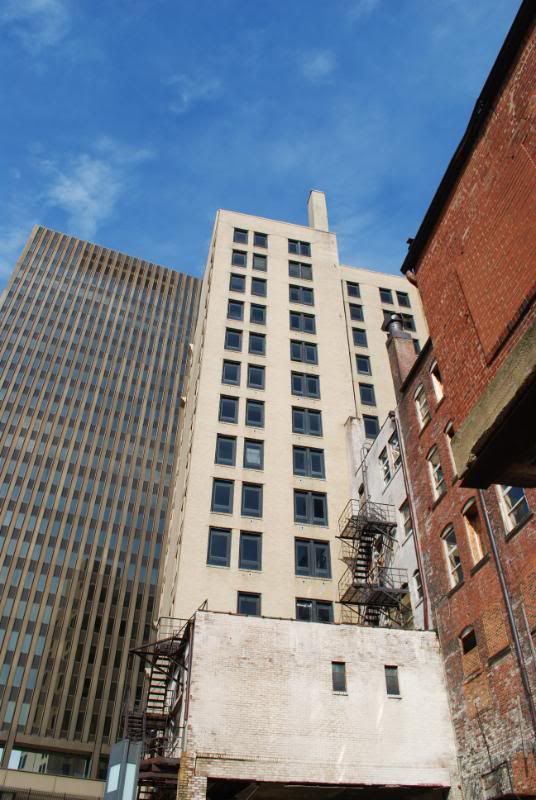 DSC_0245.jpg
