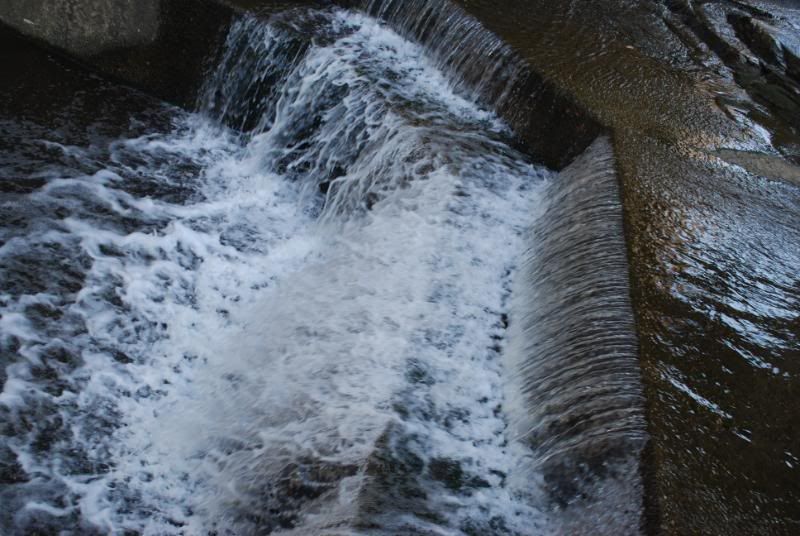 DSC_0254.jpg