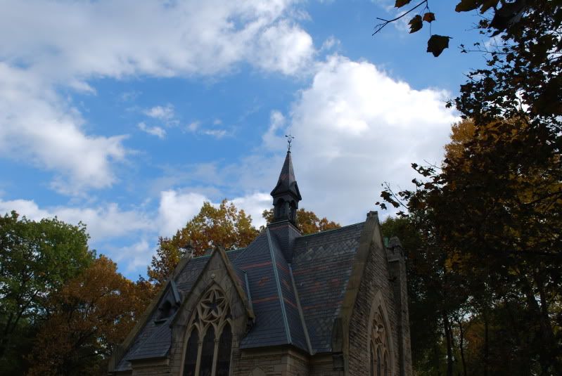 DSC_0350.jpg