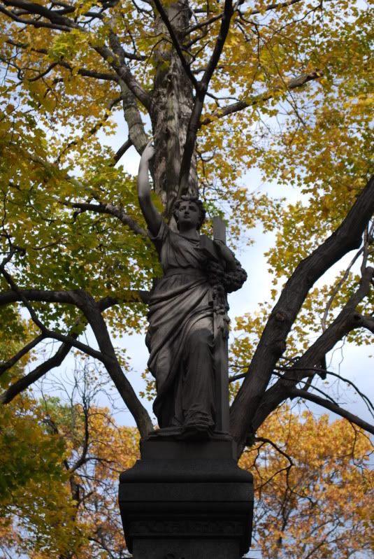 DSC_0375.jpg