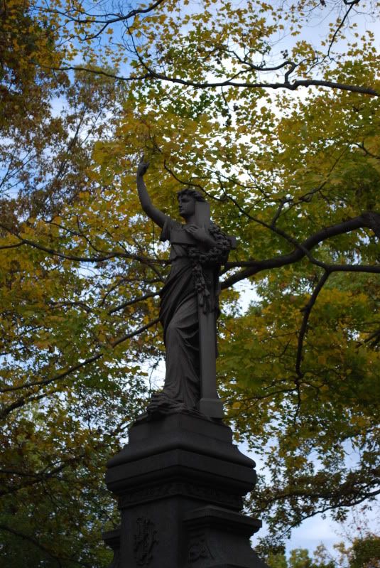 DSC_0378.jpg