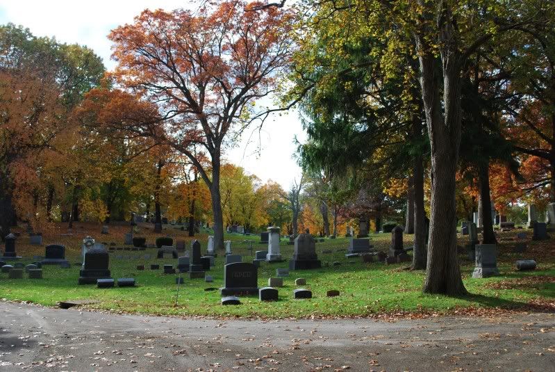 DSC_0397.jpg