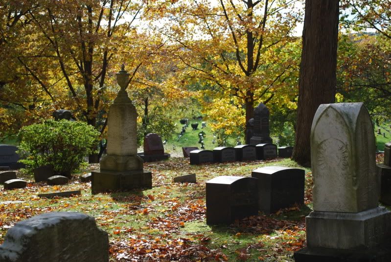 DSC_0416.jpg