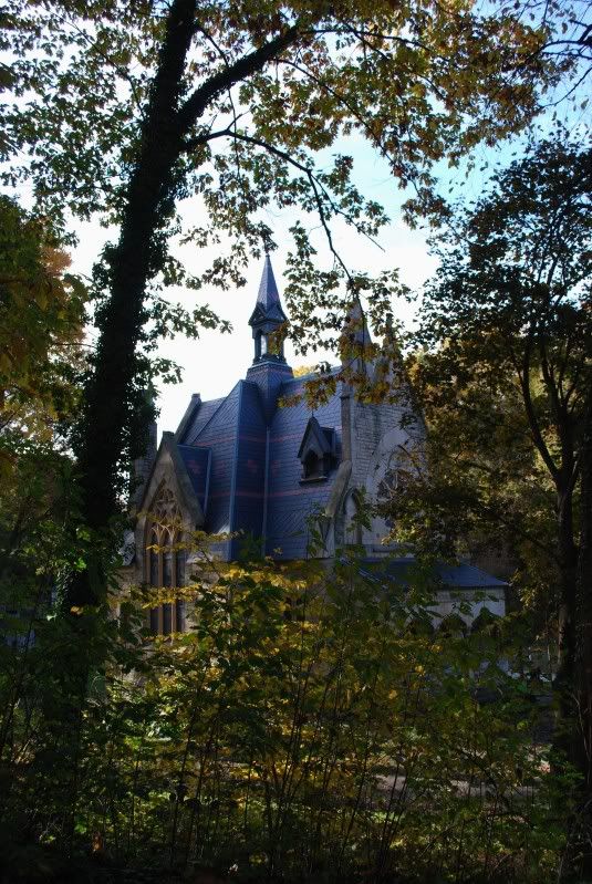 DSC_0547.jpg